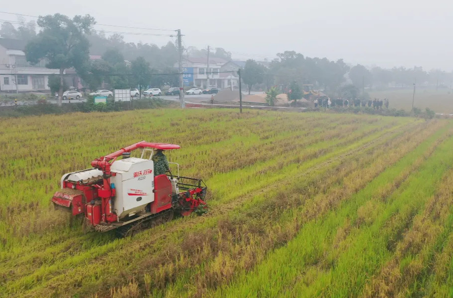 汉寿县军山铺镇：用实践样本推进秸秆综合利用暨耕地恢复工作