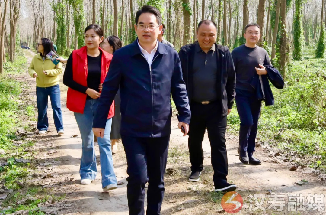 周功表调研“绿野仙踪”时强调：固本强基 打造“梦幻汉寿”乡村文旅新地标