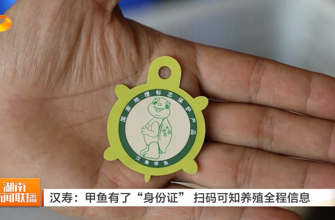 湖南卫视《湖南新闻联播》| 汉寿：甲鱼有了“身份证” 扫码可知养殖全程信息