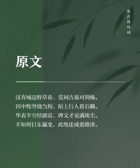 2025-11-13龙阳声韵《古索城与汉寿城春望一》