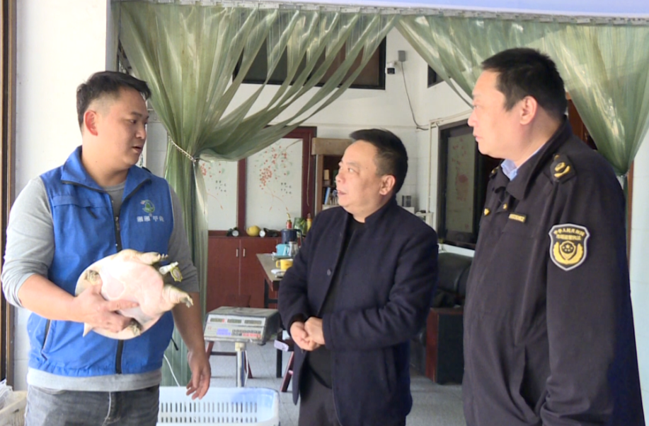 强工稳农 | 汉寿县市场监督管理局：地理标志+溯源“双保险” 护航甲鱼品牌香飘全国