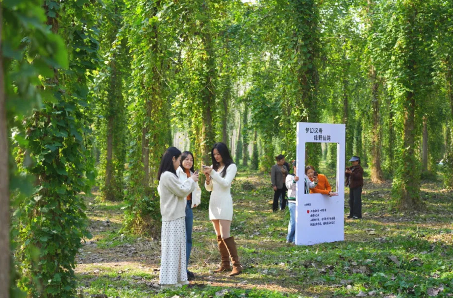 汉寿因地制宜打造“梦幻汉寿”乡村文旅新地标