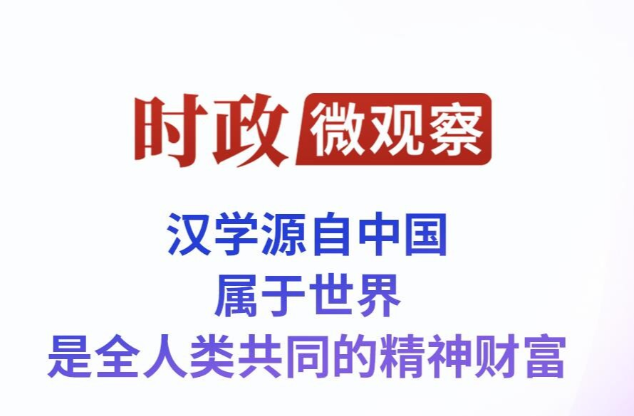 时政微观察丨与汉学结伴 和中国同行