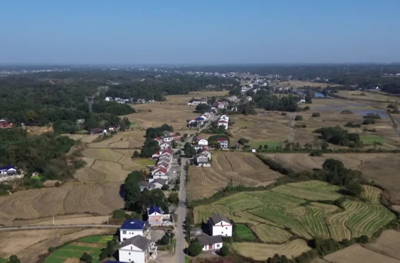 幸福汉寿 | 丰家铺镇杨柳村：驻村工作队实干铺就乡村振兴路
