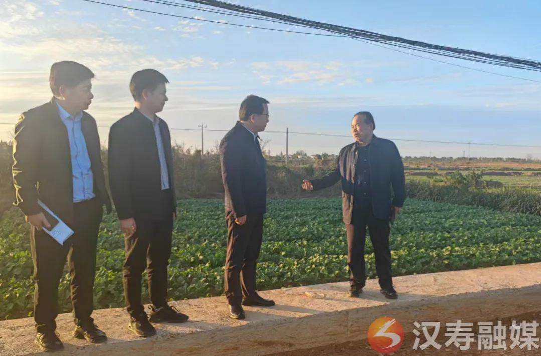 王时雨调研交通、农业项目建设工作