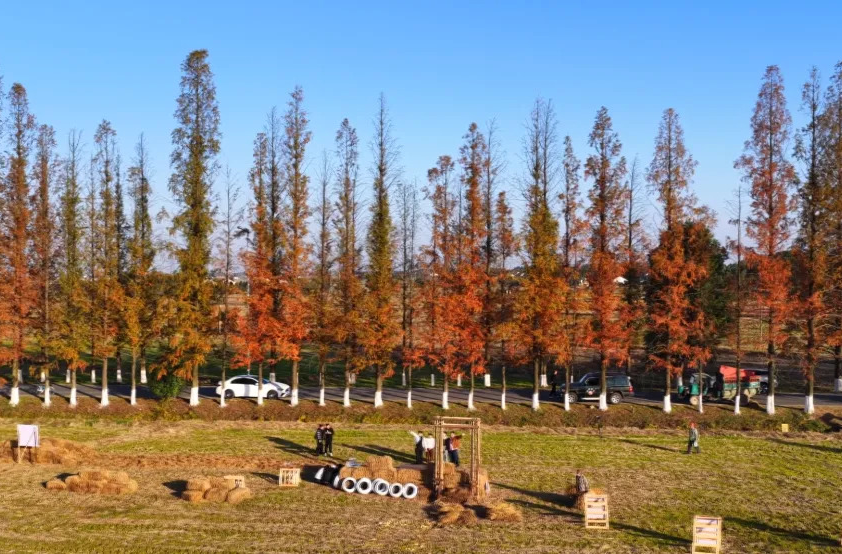 活旅靓城 | 聂家桥乡：秸秆变身“艺术品” 冬闲田野添风景