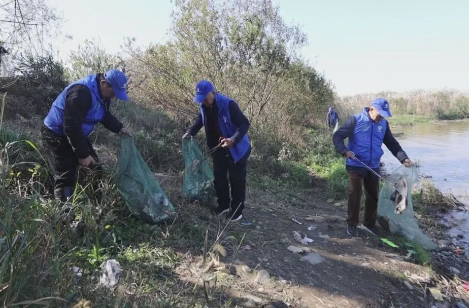 汉寿：西洞庭湖湿地保护协会 筑牢候鸟越冬“安全屏障”