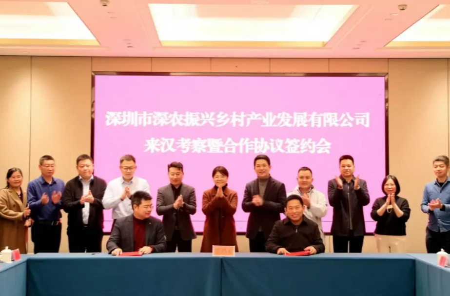 深圳企业来汉寿考察农业产业合作 现场签约下单发货