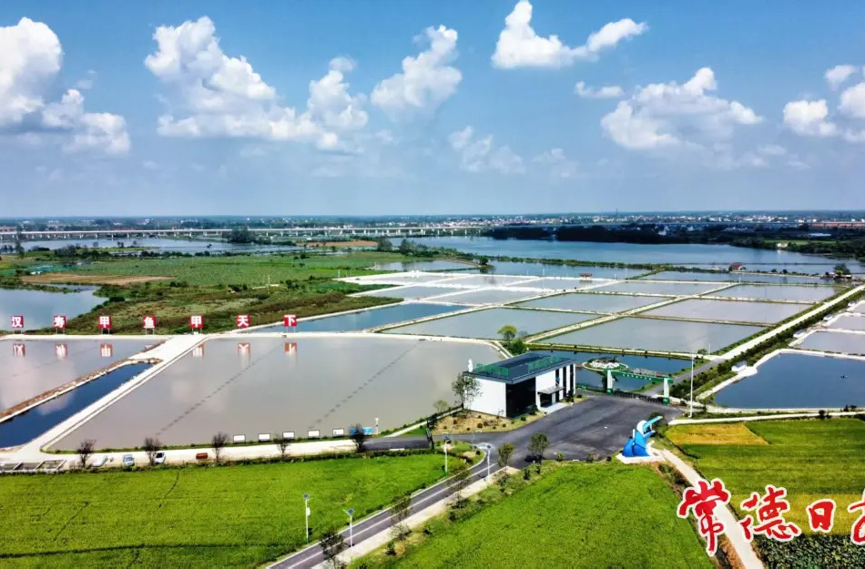 常德日报 | 让农村“沉睡资产”变成“增收活水”——汉寿县探索出高效配置农村集体资源资产新路径