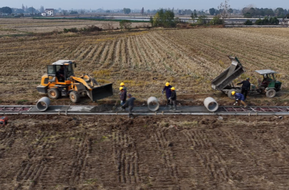 强工稳农 | 汉寿：高标准农田建设正酣