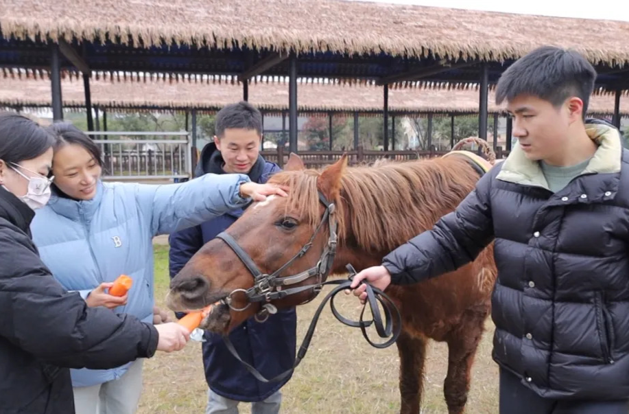 活旅靓城 | 汉寿：元旦假期 “马字辈”动物成常野顶流