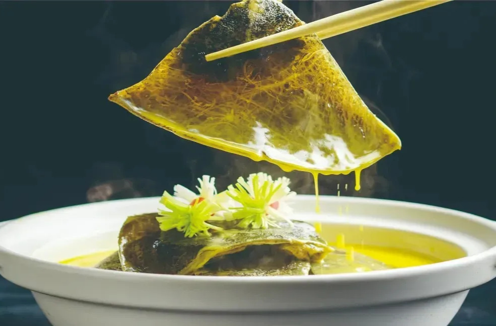 永州人专享福利！汉寿甲鱼助力冠军出征，四大平台同步助威