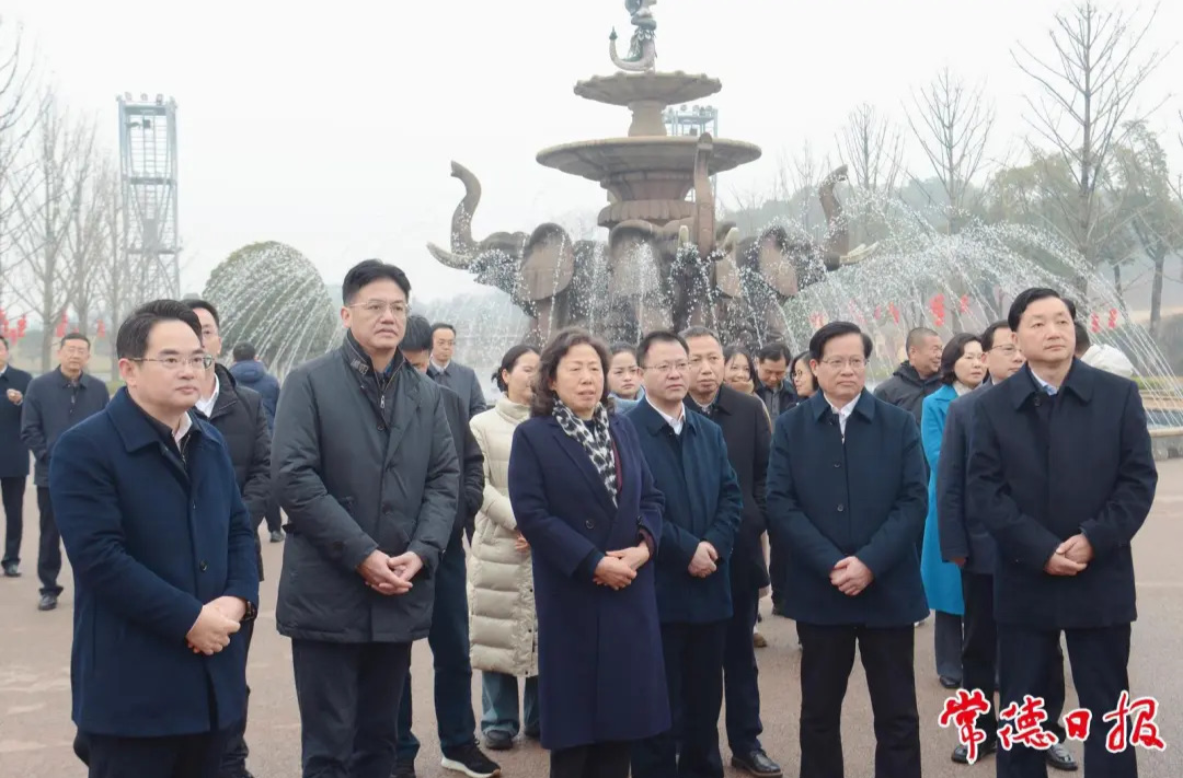 在常全国、省人大代表集中视察文旅产业高质量发展