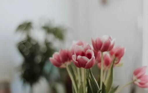 2026-01-27龙阳声韵《水深不语，人稳不言》