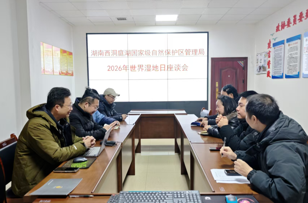 湿地与传统知识共融，西洞庭湖守护行动点亮2026世界湿地日