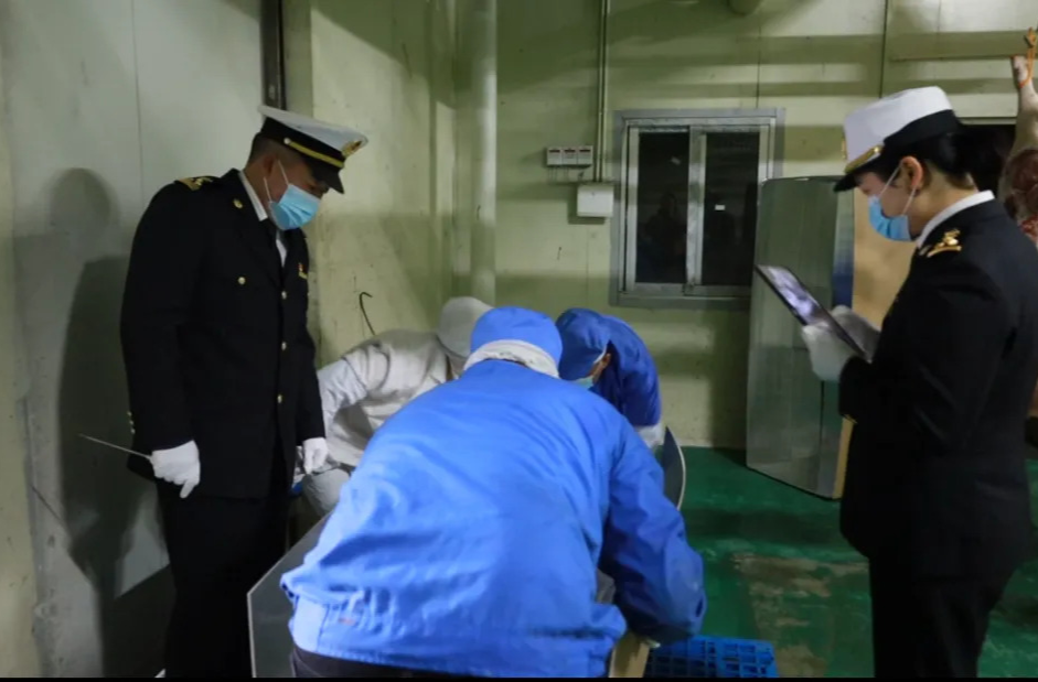 强工稳农｜全国首批出口新加坡冰鲜猪肉从汉寿发运