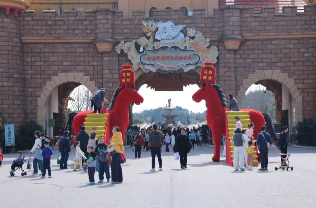 新春“马”力全开 湖南常德野生动物世界成亲子出游热门打卡地