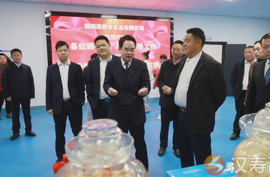 开工！投产！汉寿项目建设开门红！