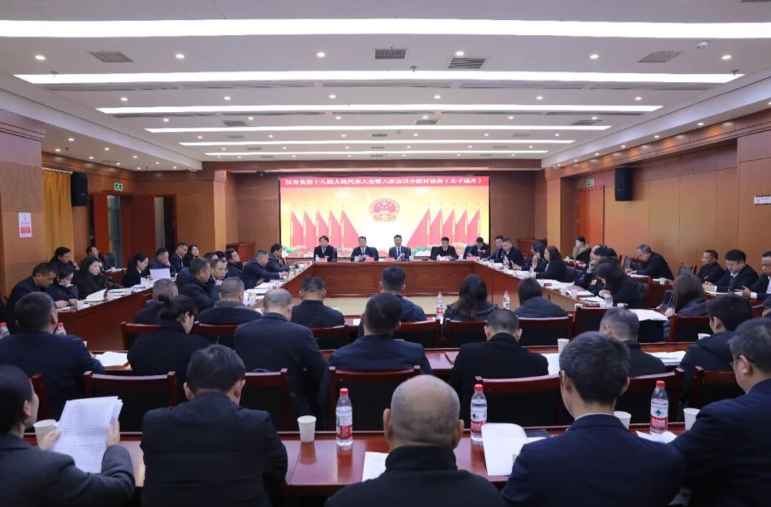 聚焦两会丨汉寿县第十八届人民代表大会第六次会议开展分组审议