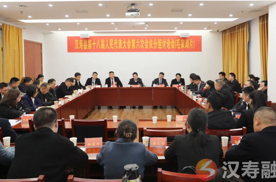 聚焦两会丨汉寿县第十八届人民代表大会第六次会议继续开展分组审议