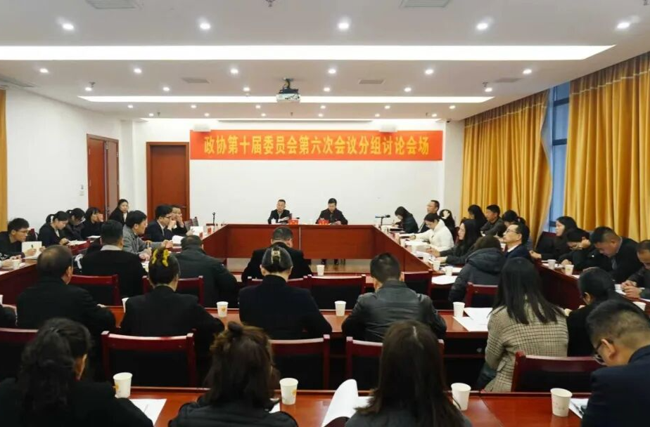 聚焦两会丨政协汉寿县第十届委员会第六次会议继续开展分组讨论