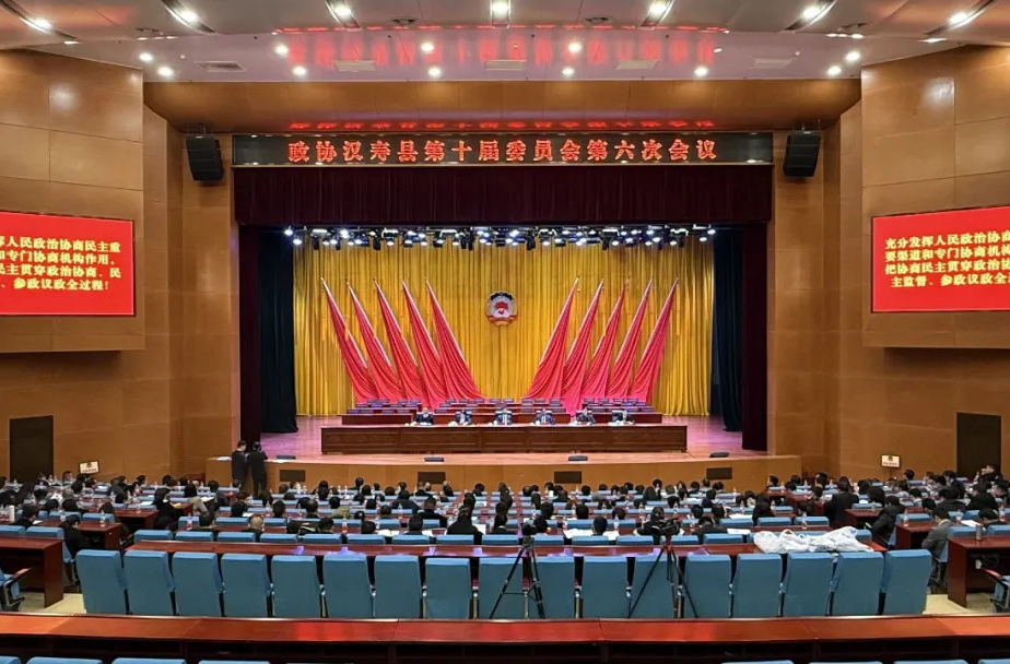 聚焦两会丨政协汉寿县第十届委员会第六次会议召开选举大会