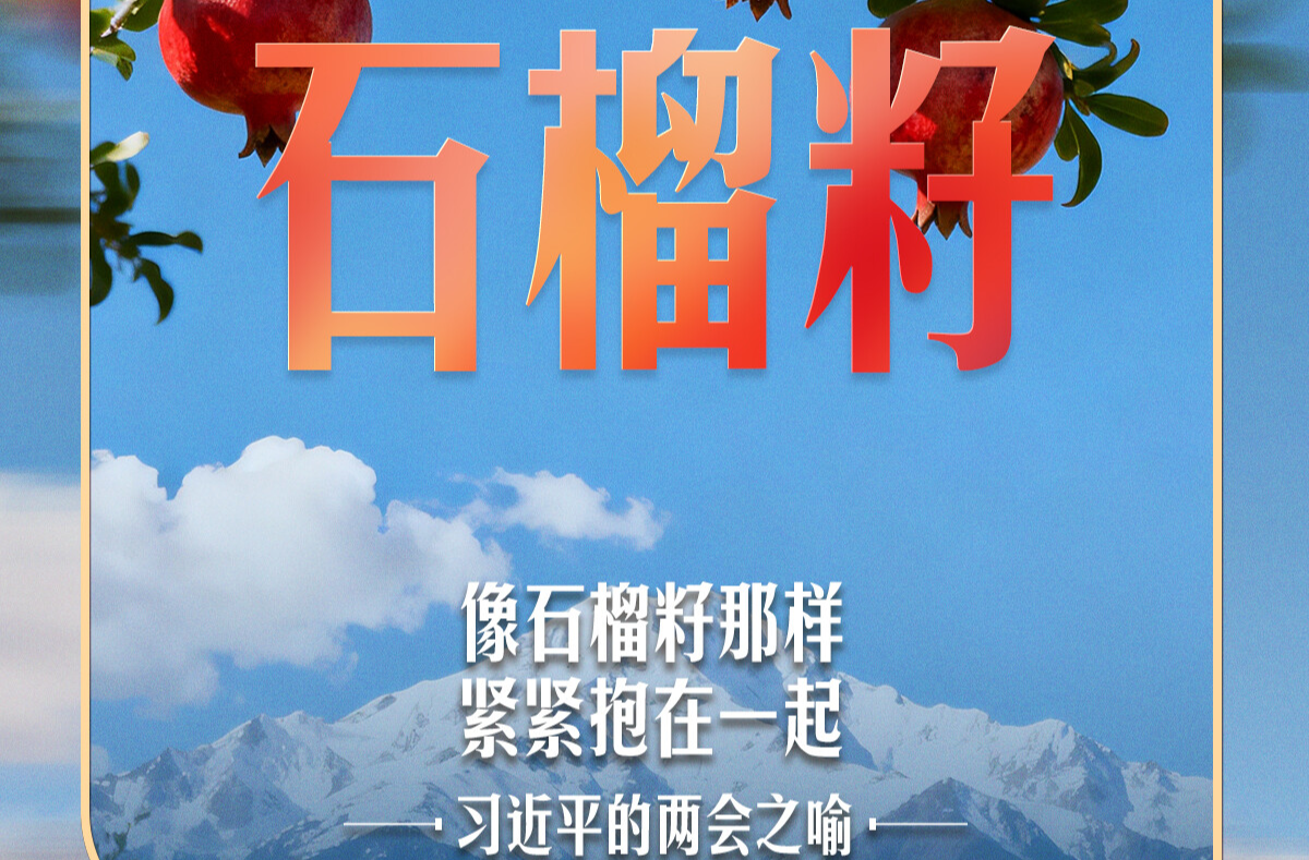 习近平的两会之喻｜像石榴籽那样紧紧抱在一起