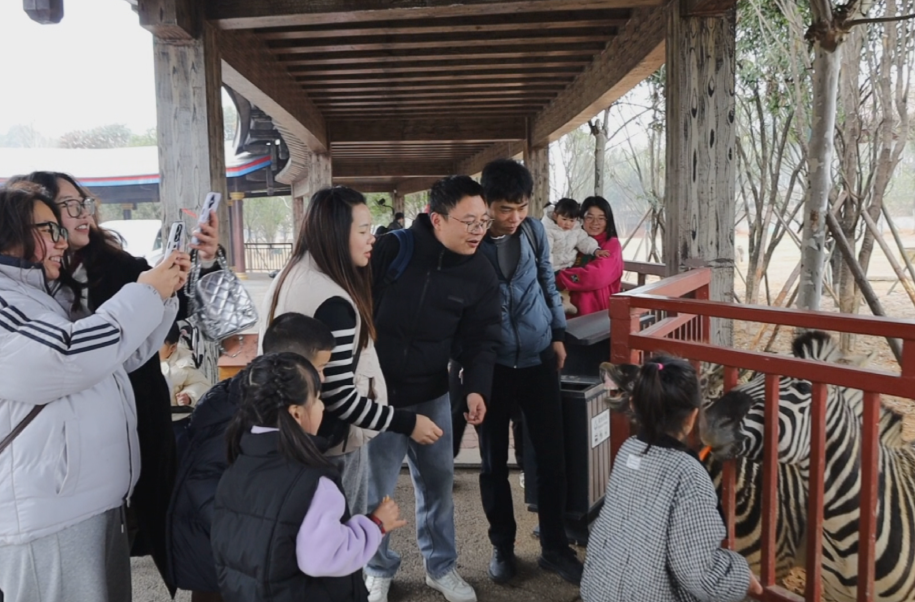 湖南常德野生动物世界：“三八”妇女节专属福利引爆春日游园热潮