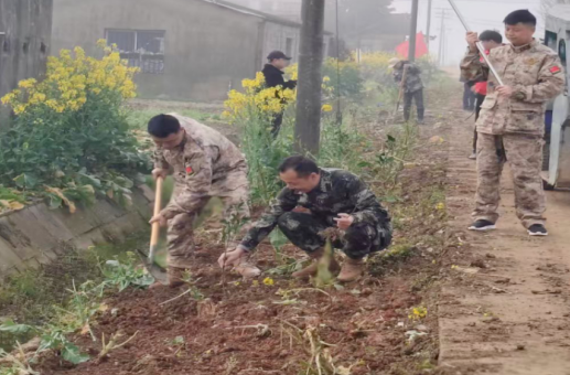 迷彩辉映志愿红 辰阳民兵添新绿——汉寿县辰阳街道开展军民共建植树活动