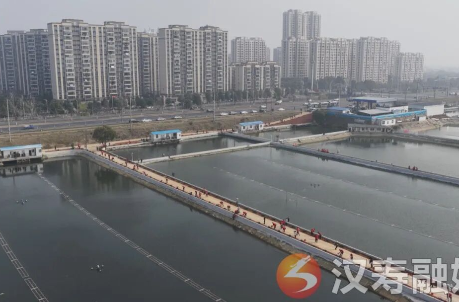 “植此青绿 扮靓洞庭岸”——汉寿县开展2026年义务植树活动