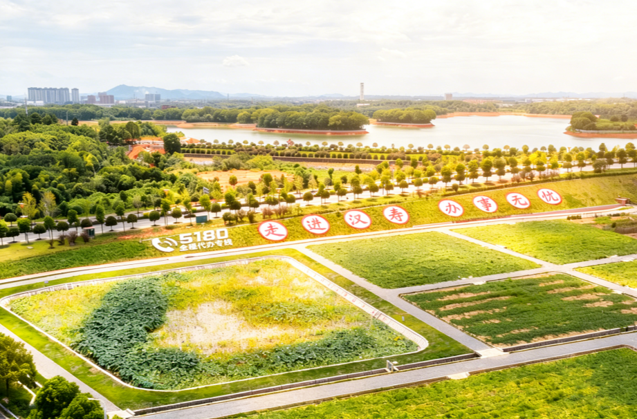 汉寿致武陵：以湖山为盟，共绘沅澧长卷