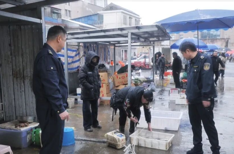 平安汉寿 | 汉寿县对新西套马路市场开展综合秩序整治