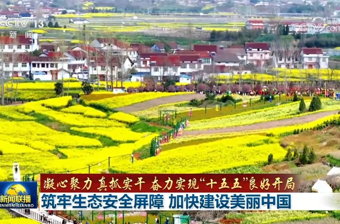 【凝心聚力 真抓实干 奋力实现“十五五”良好开局】筑牢生态安全屏障 加快建设美丽中国