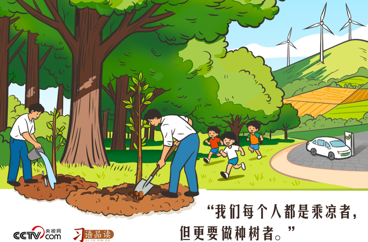 天天学习｜我们每个人都是乘凉者，但更要做种树者