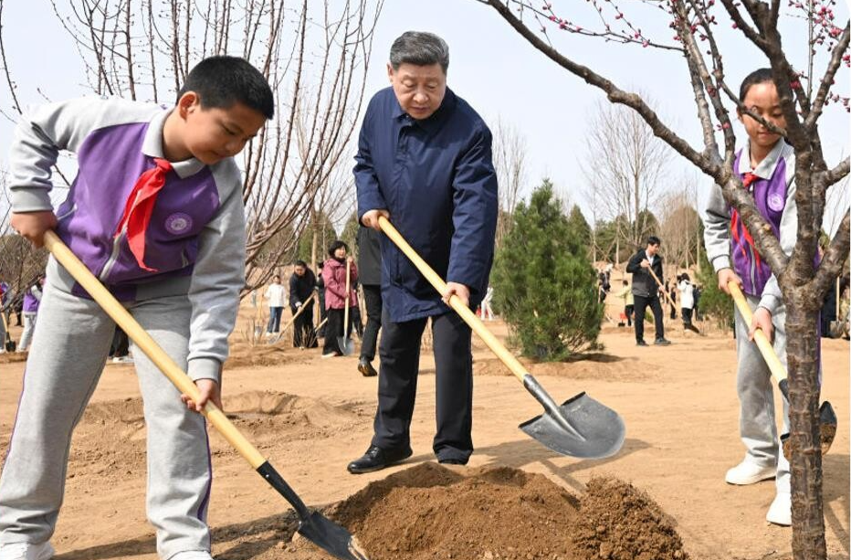 时政微观察丨草木植成，国之富也