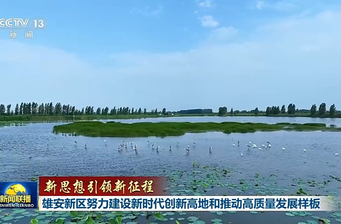 新思想引领新征程丨雄安新区努力建设新时代创新高地和推动高质量发展样板
