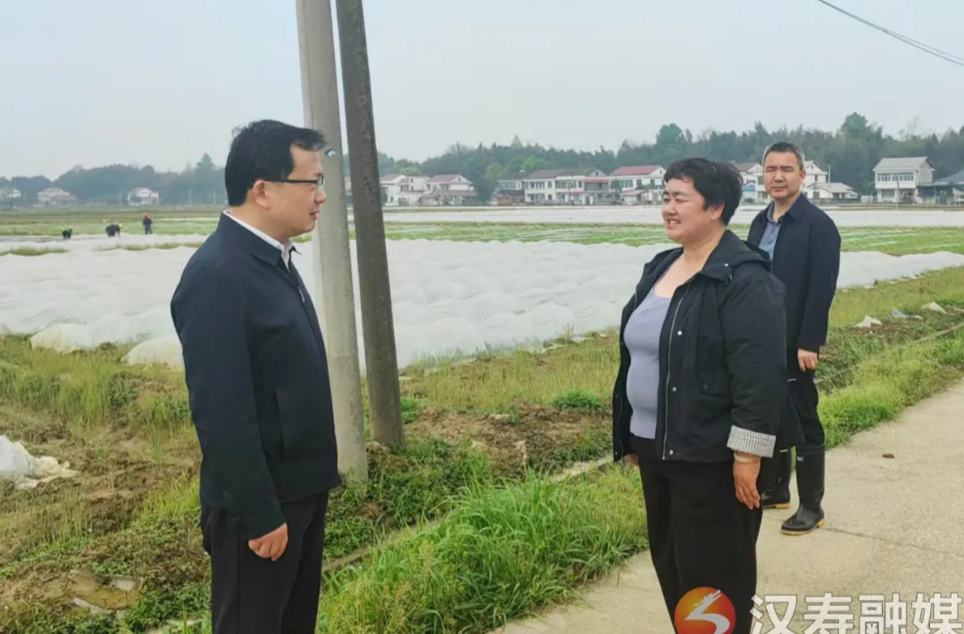 王时雨调研春耕生产情况