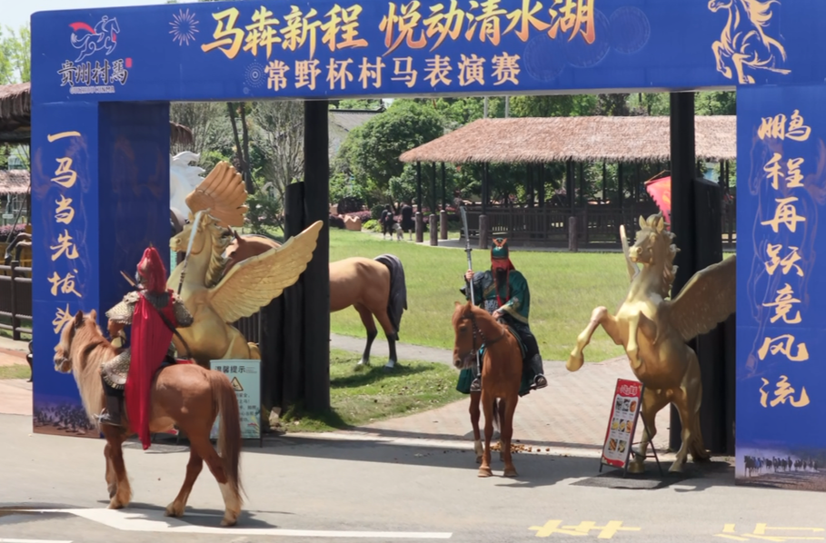 活旅靓城 | “马犇新程·悦动清水湖”汉寿常野杯主题村马表演开赛