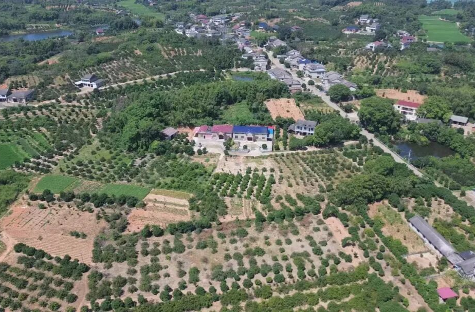 深耕集体“三资”沃土  激活乡村振兴引擎——汉寿县探索农村集体“三资”盘活与乡村振兴深度融合新路径