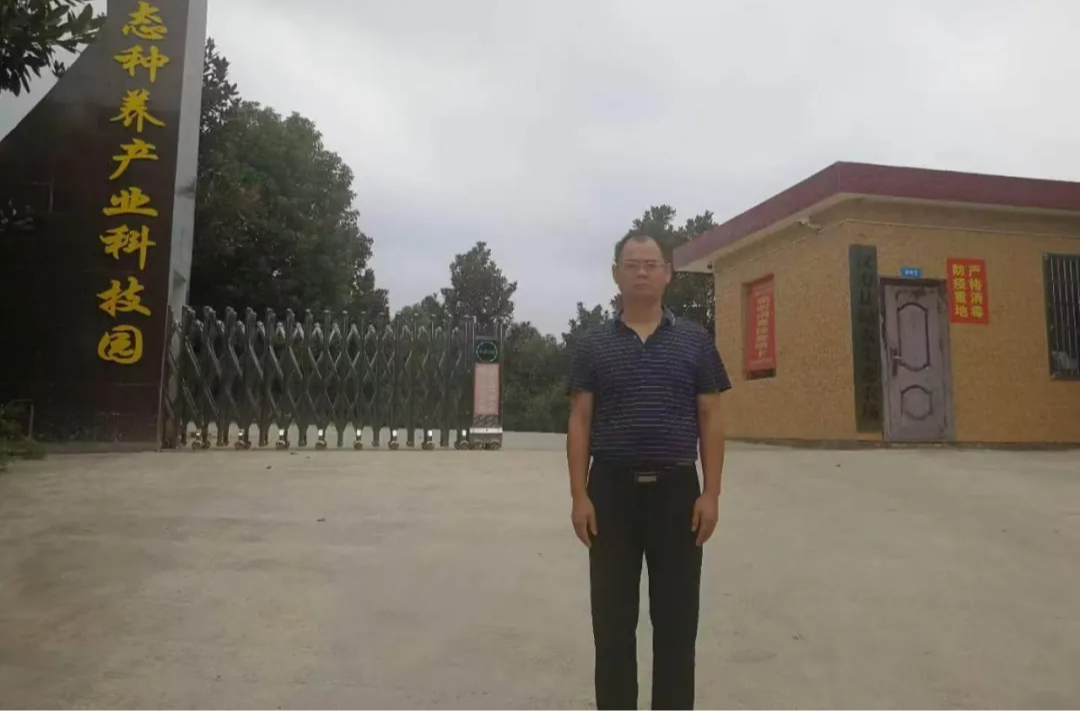 【汉群之声】一波三折终不悔——一个回乡大学生的养猪逆袭