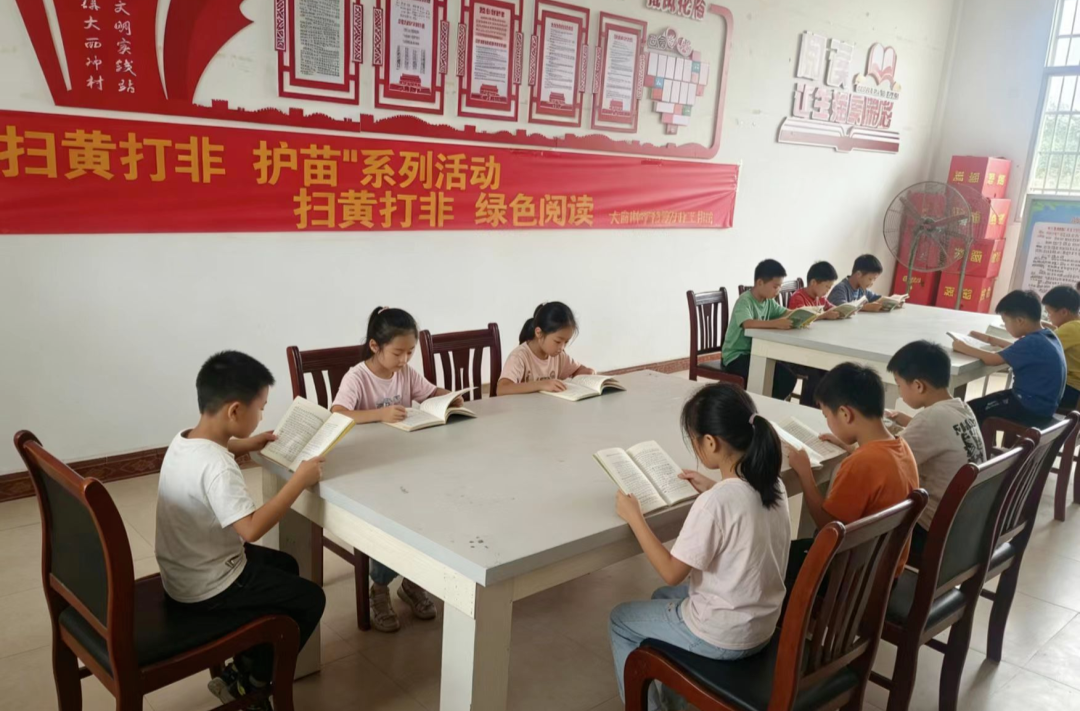 汉寿县崔家桥镇大西冲村开展“护苗·绿色阅读”活动 助力青少年健康成长