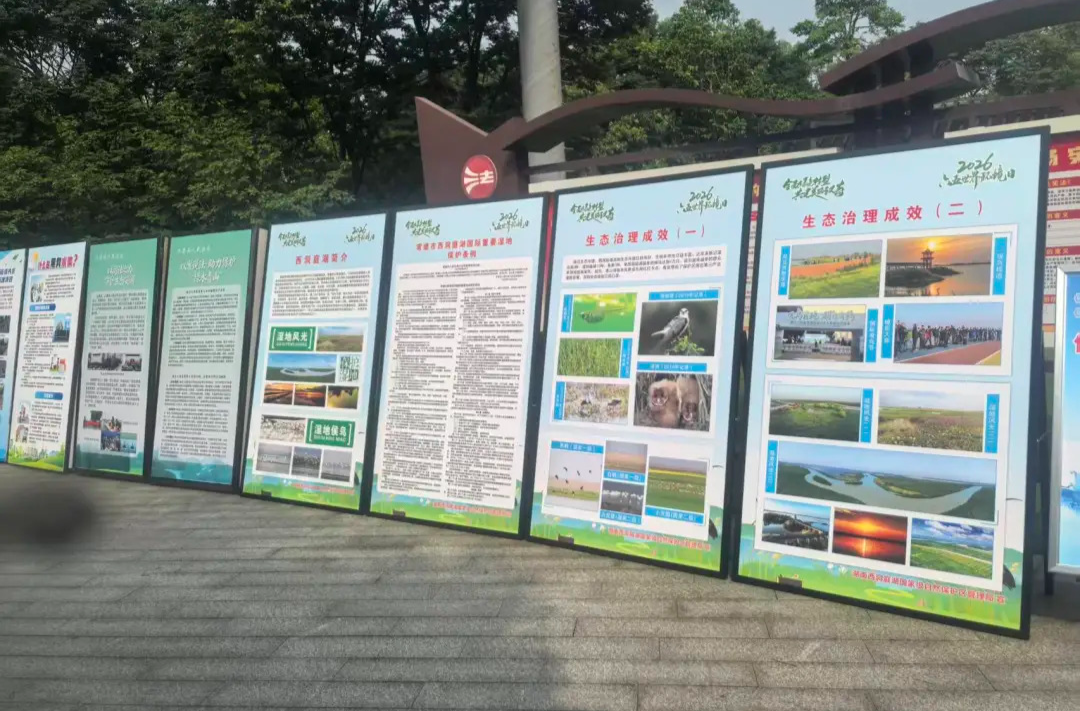六五世界环境日 守护湿地绿水青山