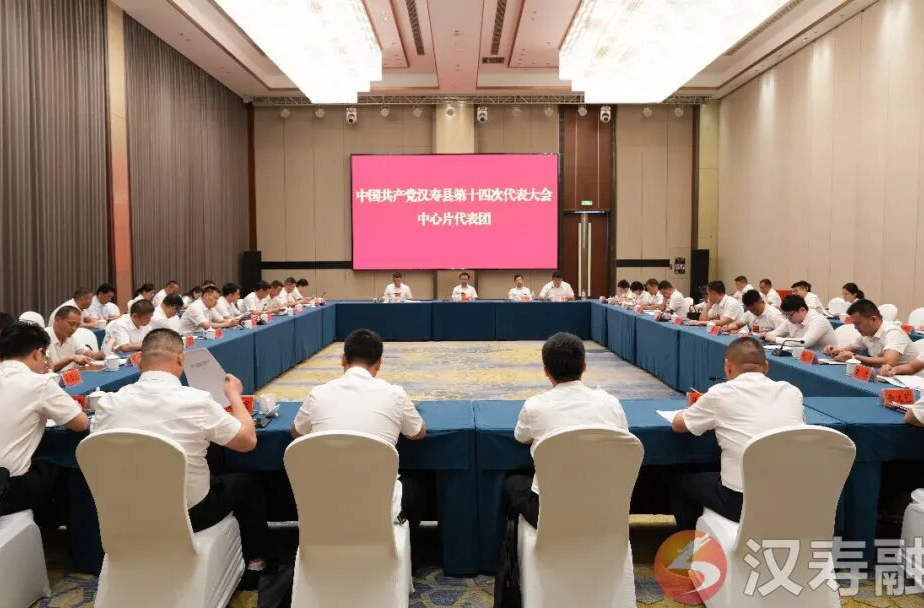 聚焦党代会丨中国共产党汉寿县第十四次代表大会开展分组讨论