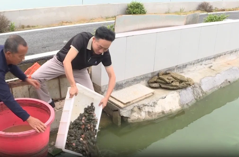 强工稳农 | 汉寿：10万尾本土稚鳖投放西洞庭湖流域