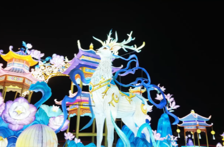 昼赏生灵百态，夜游山海星河！常德野生动物世界国庆邀您共赴