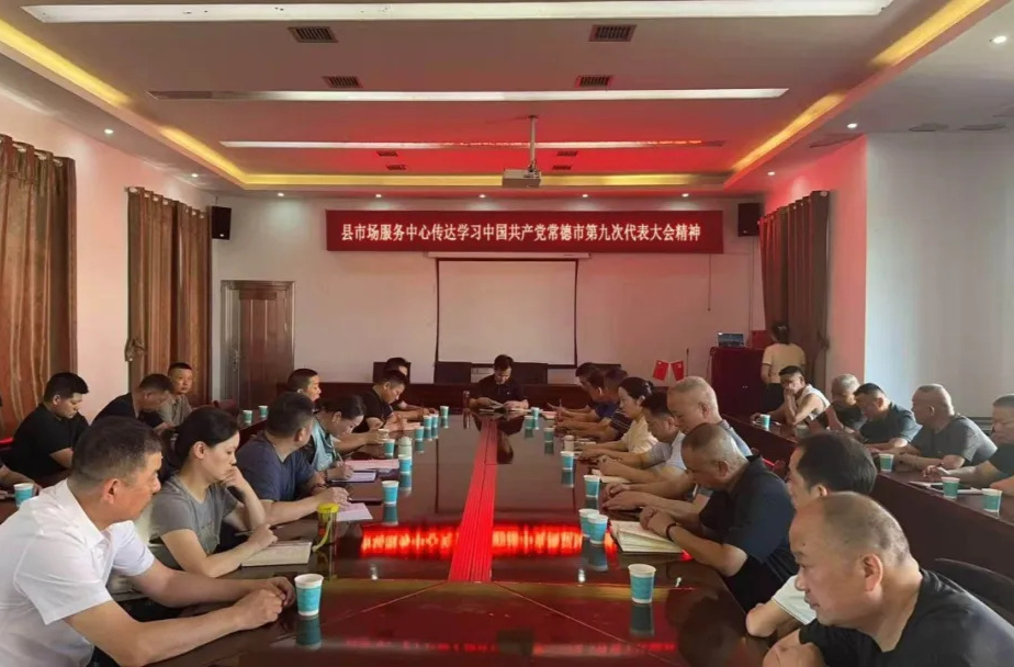 【学精神  谈感悟  谋新篇】深入学习贯彻落实中国共产党常德市第九次代表大会精神(三)