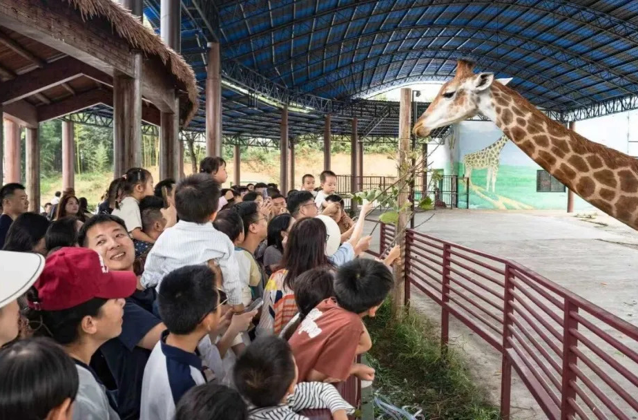 汉寿：国庆假期过半 常野热度持续火爆