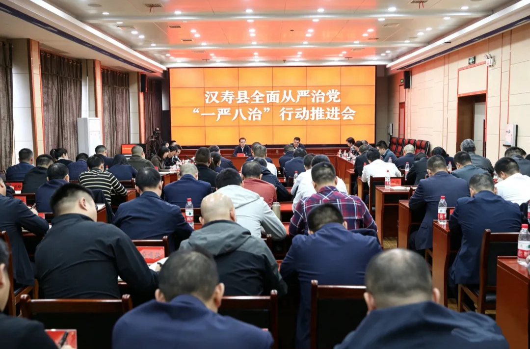 汉寿县全面从严治党“一严八治”行动推进会召开