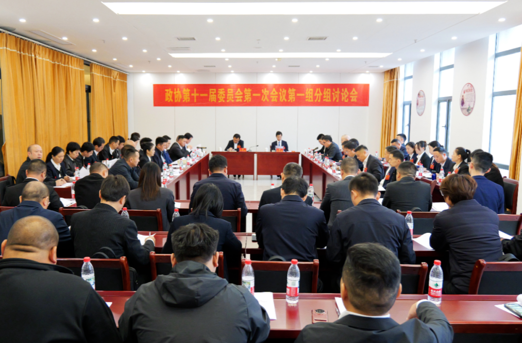 【聚焦两会】政协汉寿县第十一届委员会第一次会议开展分组讨论