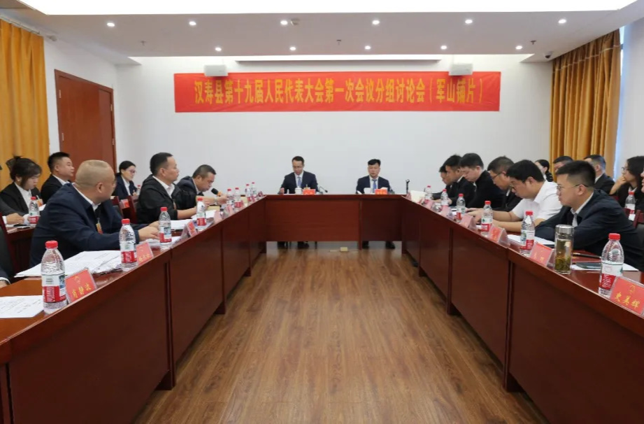 【聚焦两会】汉寿县第十九届人民代表大会第一次会议开展分组讨论